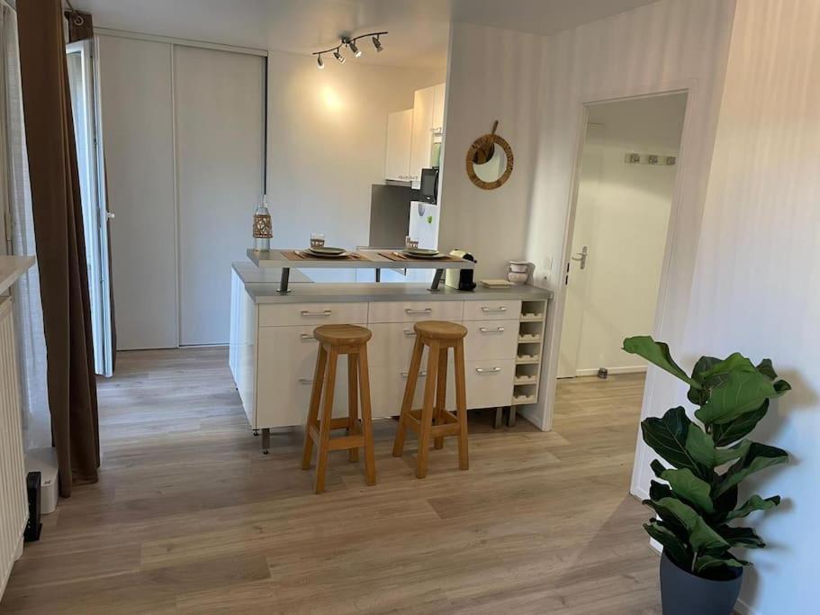 Studio 28 M2 & Jardin Privatif 20 M2 Монтини-льо-Бретоньо Екстериор снимка